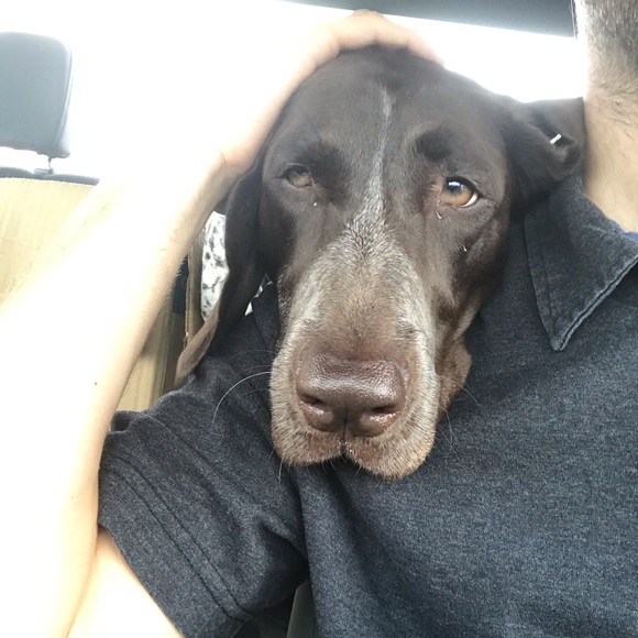 Meet your Posher, Kyle - Picture 1 of 1